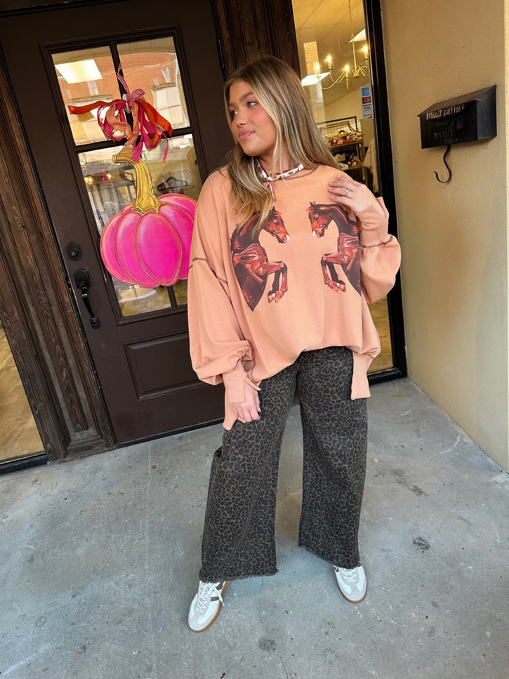 hold your horses pullover