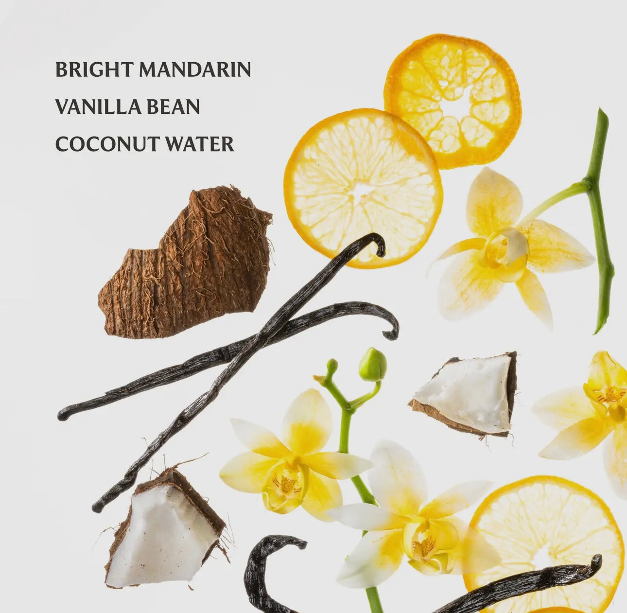 touchland vanilla blossom power mist hydrating hand sanitizer